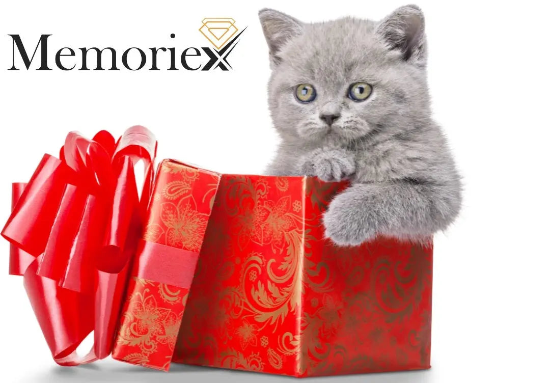 The Art of Gifting in Britain - Memoriex