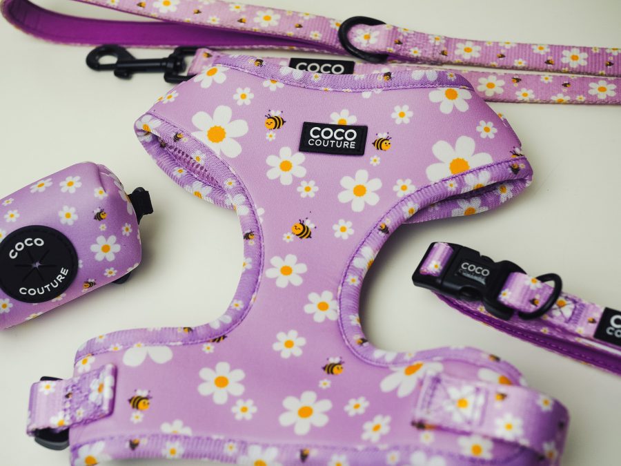 "Cute As Can Be" Adjustable Dog Harness – by Coco Couture-2