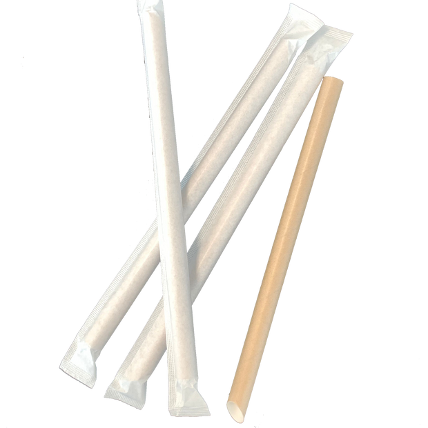 1.2 Paper Straws (21cm) - Memoriex 