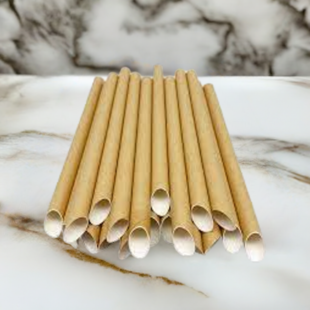 1.2 Paper Straws (21cm) - Memoriex 