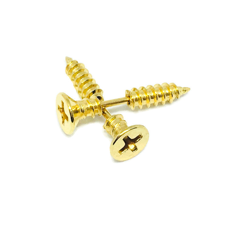 Stainless Steel Screw Earrings-2