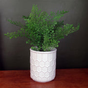 16cm White Honeycomb Ceramic Planter - Memoriex 