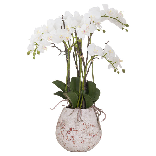 Large Stone Potted Orchid With Roots Artificial Flower Stem
