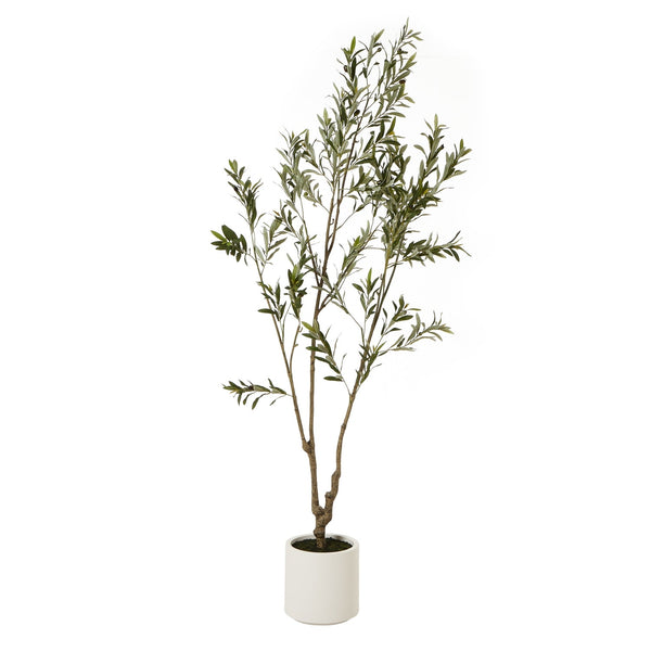 Apulia Olive Tree In White Pot 210Cm Artificial Flower Stem-0