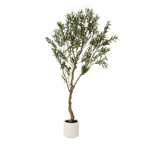 Apulia Olive Tree In White Pot 200Cm Artificial Flower Stem-0