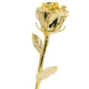 24K Gold Plated Rose Christmas Valentine's Day Birthday Gift Home Decoration - Memoriex 