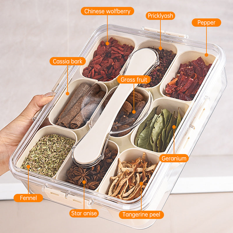 Design Sealed Snackle Storage Box With 9pcs Divider Plastic Divided Veggie Tray With Lid And Handle