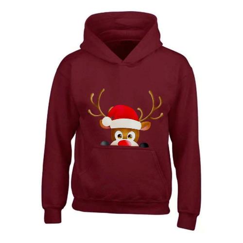 Kids XMAS1 "Hiding Reindeer" Hoodie-2