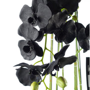 Large Black Orchid Plant - Artifcial - 41 REAL TOUCH flowers-1