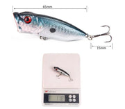 5pcs/set 5 Colored Fishing Lures - Memoriex 