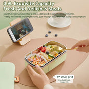 900ML Portable Electric Lunch Box for Office Workers. Self - heating, steaming, cooking, with heat preservation - Memoriex 