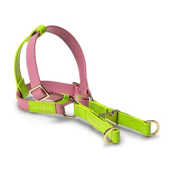 Abigale (Italian Leather) Step-In Dog Harness – by The Paw Co. - Memoriex