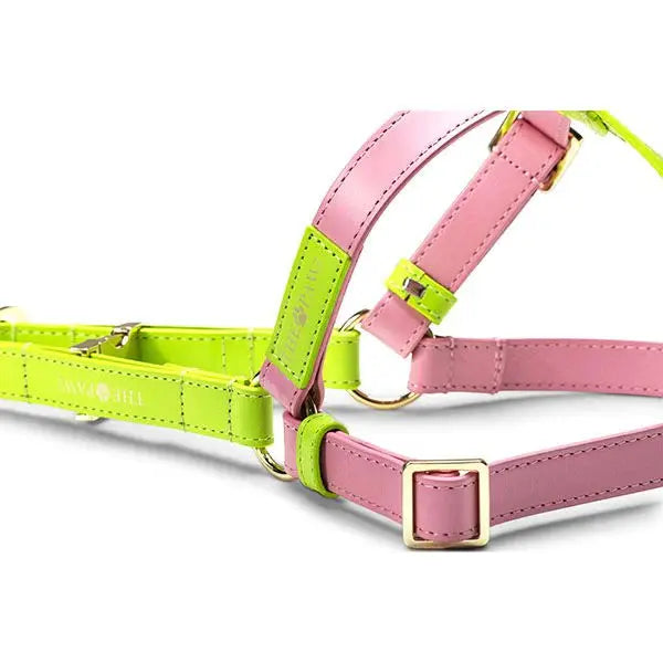 Abigale (Italian Leather) Step-In Dog Harness – by The Paw Co. - Memoriex