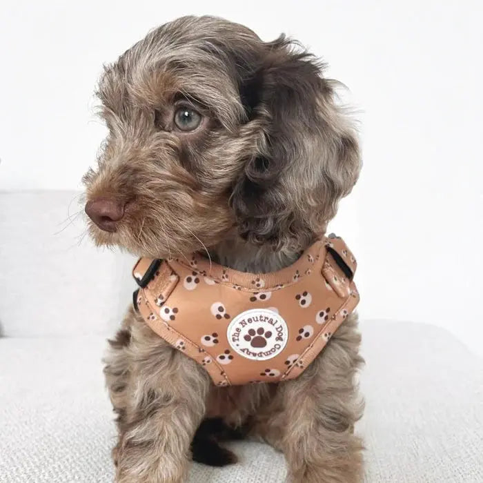 Adjustable Step-In Harness (Cookie Dough) by The Neutral Dog Company - Memoriex