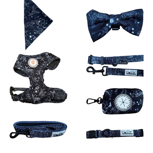 Animal Constellation (7-Piece, Full Dog Accessories Set) by Doggy Days - Memoriex