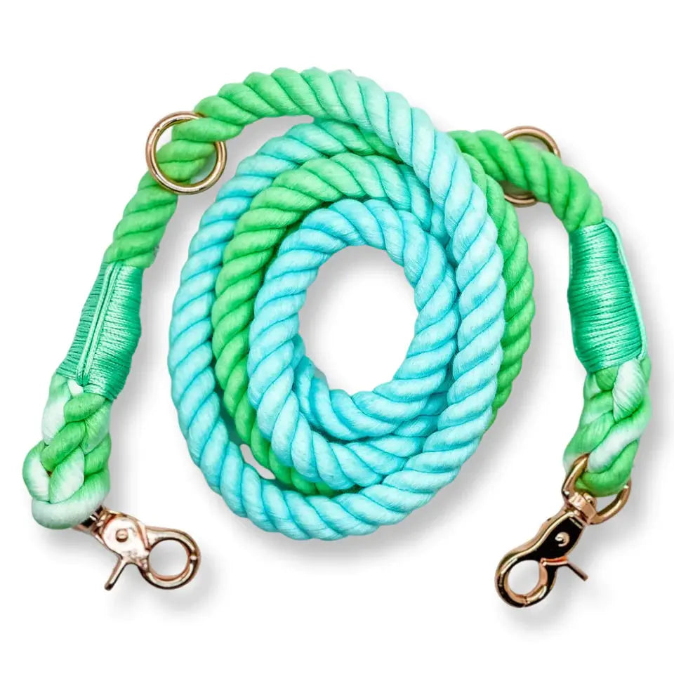 Aqua Marine Ombre Adjustable Rope Dog Lead by Pup Chic Boutique - Memoriex