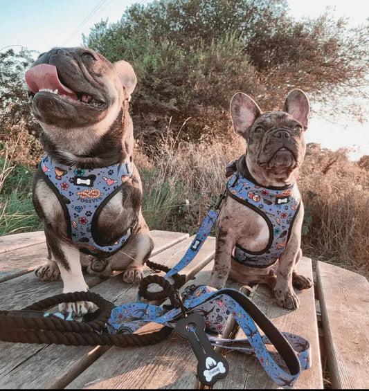 Artful Dogster Adjustable Dog Harness by Pup Chic Boutique - Memoriex