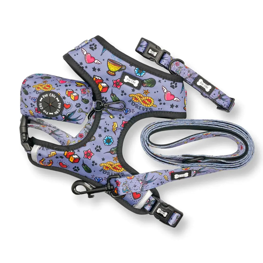 Artful Dogster Dog Lead by Pup Chic Boutique - Memoriex