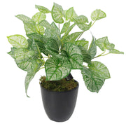 Artificial Fern Plant 40cm Caladium Plants - Memoriex 