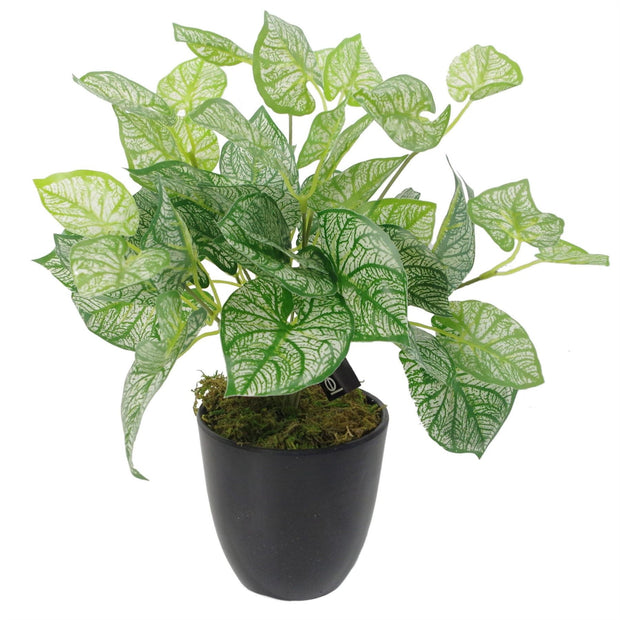 Artificial Fern Plant 40cm Caladium Plants - Memoriex 