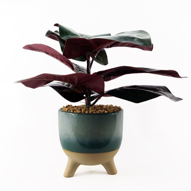 Artificial Ficus Plant Teal Blue Green Ceramic Planter - Memoriex 
