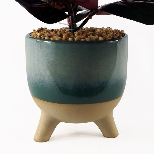 Artificial Ficus Plant Teal Blue Green Ceramic Planter - Memoriex 