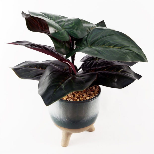 Artificial Ficus Plant Teal Blue Green Ceramic Planter - Memoriex 
