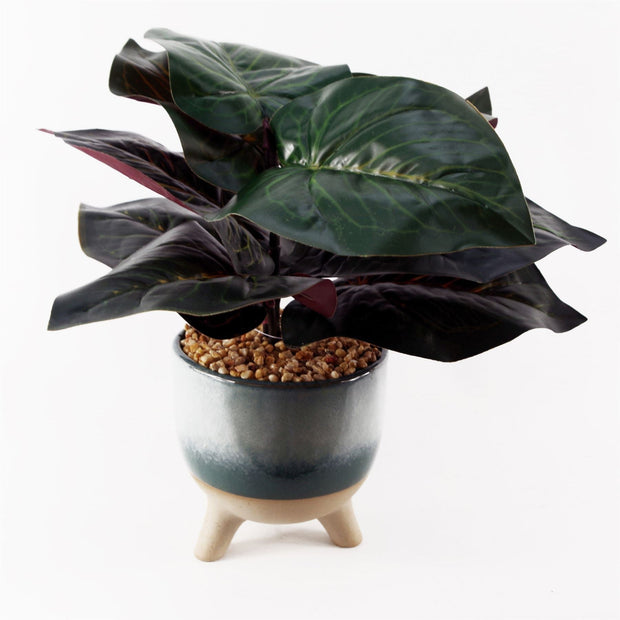 Artificial Ficus Plant Teal Blue Green Ceramic Planter - Memoriex 