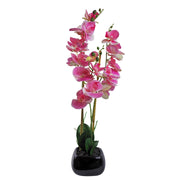 Artificial Orchid Flower Plant 70cm Pink Black Ceramic Planter - Memoriex 
