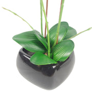 Artificial Orchid Flower Plant 70cm Pink Black Ceramic Planter - Memoriex 