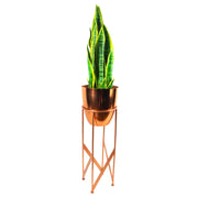 Artificial Yukka Plant Metal Planter Gold 90cm Tall Premium - Memoriex 