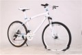 BMW Cross Country Mountain Bike Double Disc Brake - Memoriex 