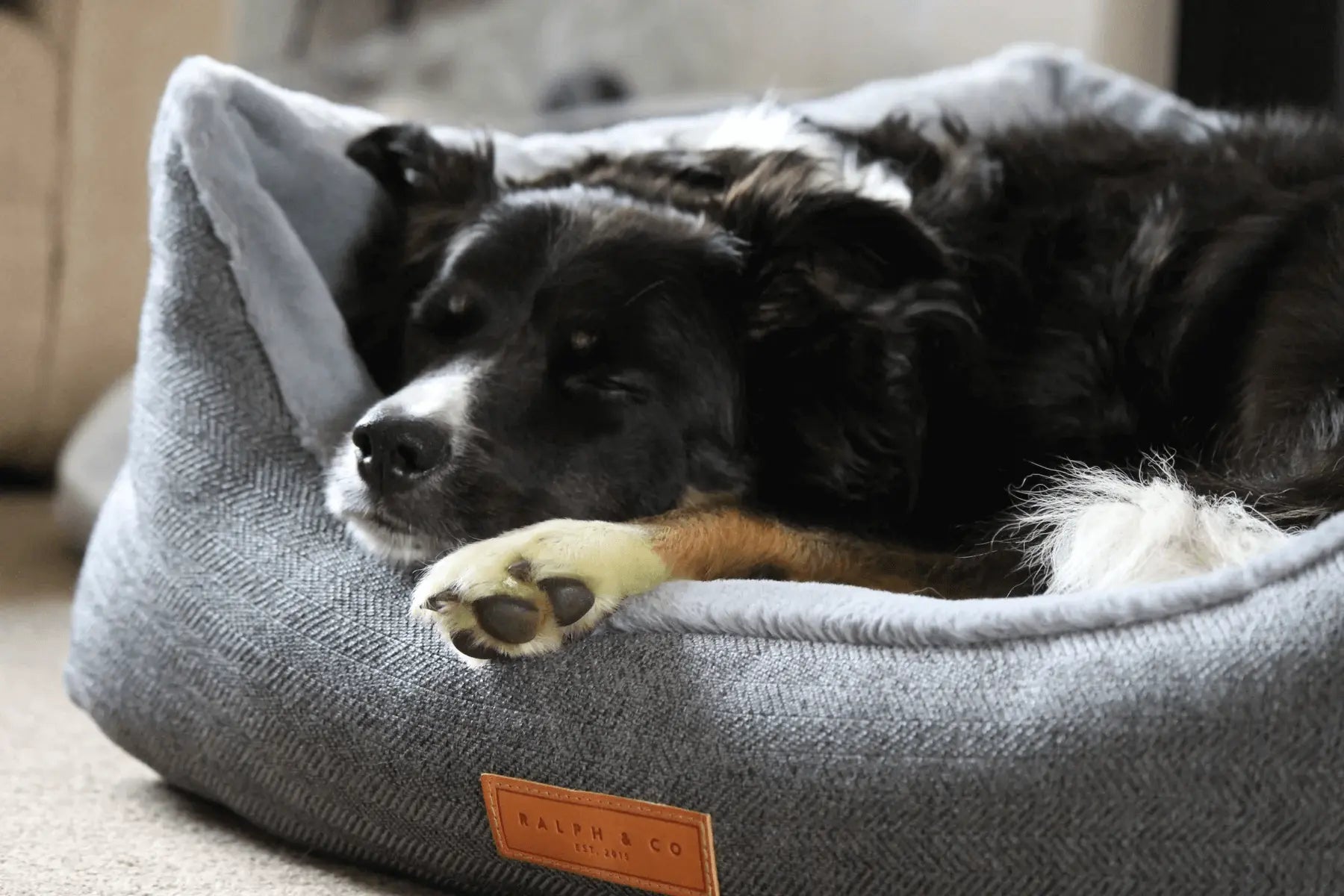 “Balmoral” Herringbone Nest Dog Bed – by Ralph & Co - Memoriex