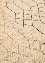 Bazm Hand Knotted Rug - 278 x 189 cm-2