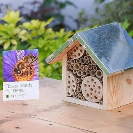 Bee Hotel-0