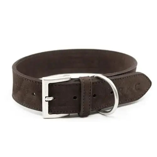 “Bergamo” Nubuck Leather Dog Collar – by Ralph & Co - Memoriex