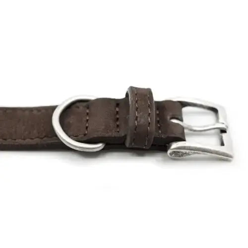 “Bergamo” Nubuck Leather Dog Collar – by Ralph & Co - Memoriex