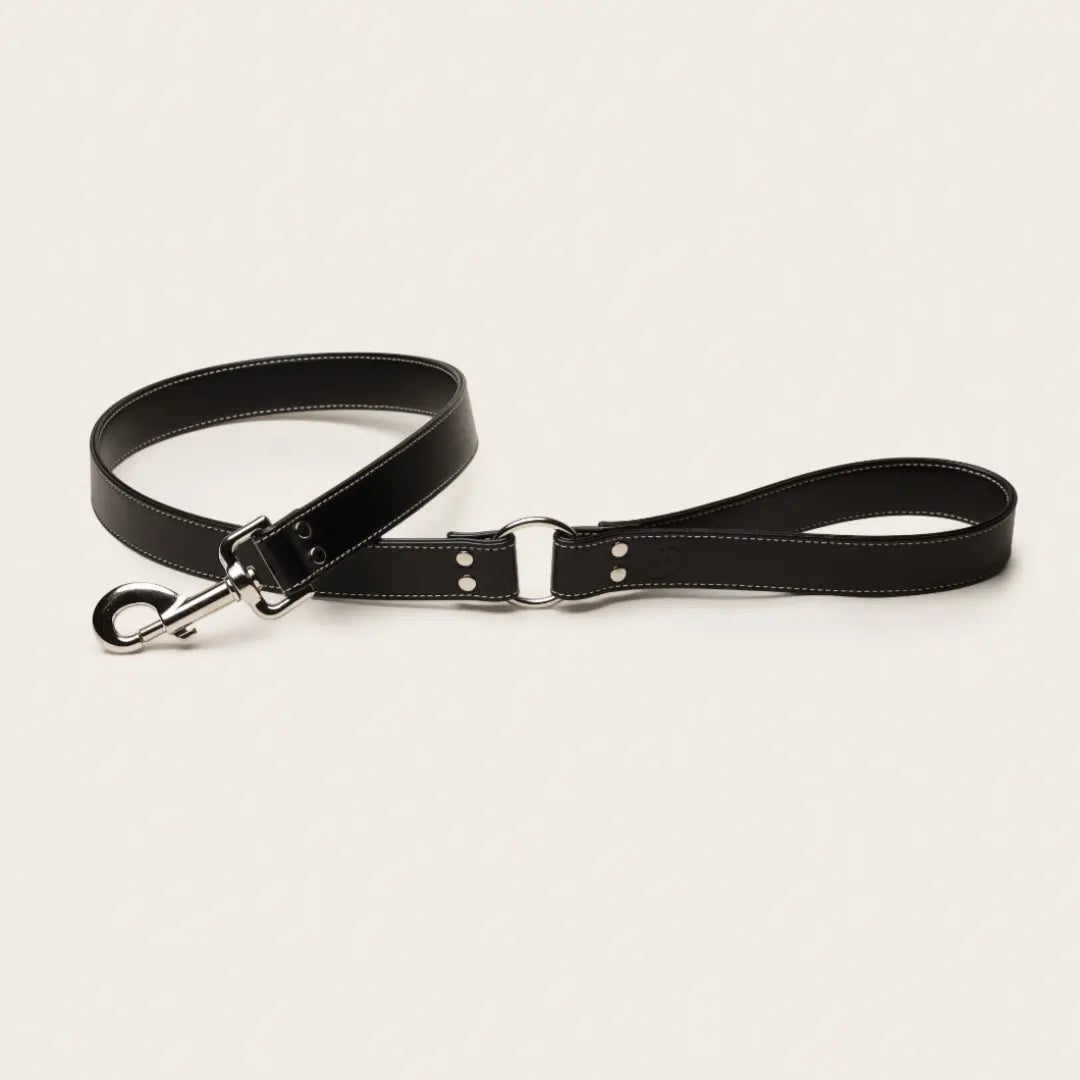 Black Dog Lead (Vegan Apple Leather) – by Skylos Collective - Memoriex