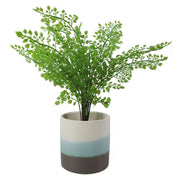 Blue Sand Stripe Ceramic Planter Plant Pot Botanik - Memoriex 