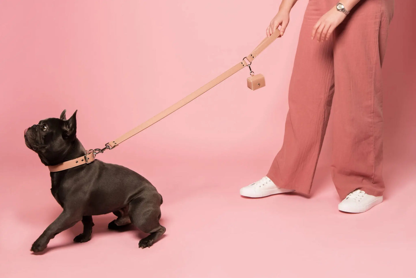 Blush Pink Dog Lead (Vegan Apple Leather) – by Skylos Collective - Memoriex