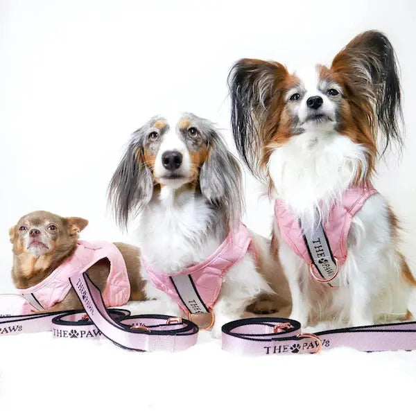 Brooklyn Dog Harness (Blush)– by The Paw Co. - Memoriex