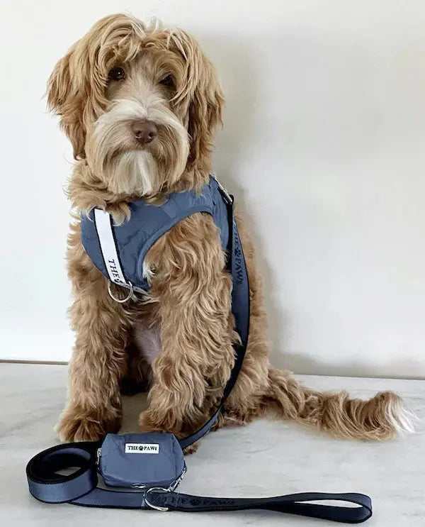 Brooklyn Dog Harness (Navy)– by The Paw Co. - Memoriex