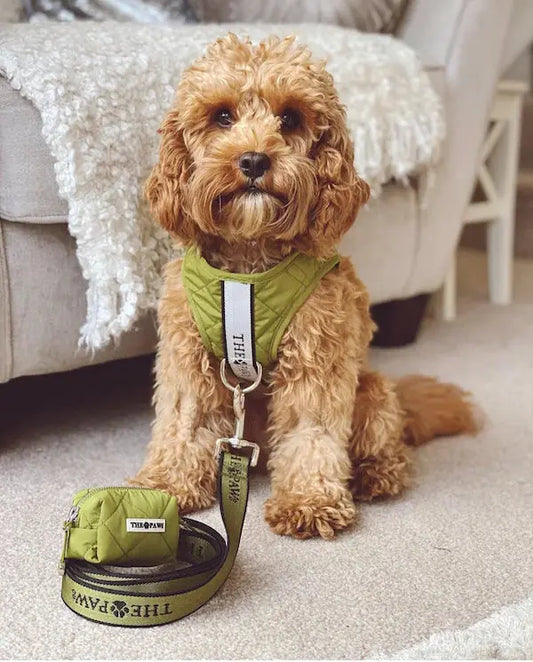 Brooklyn Dog Harness (Olive)– by The Paw Co. - Memoriex