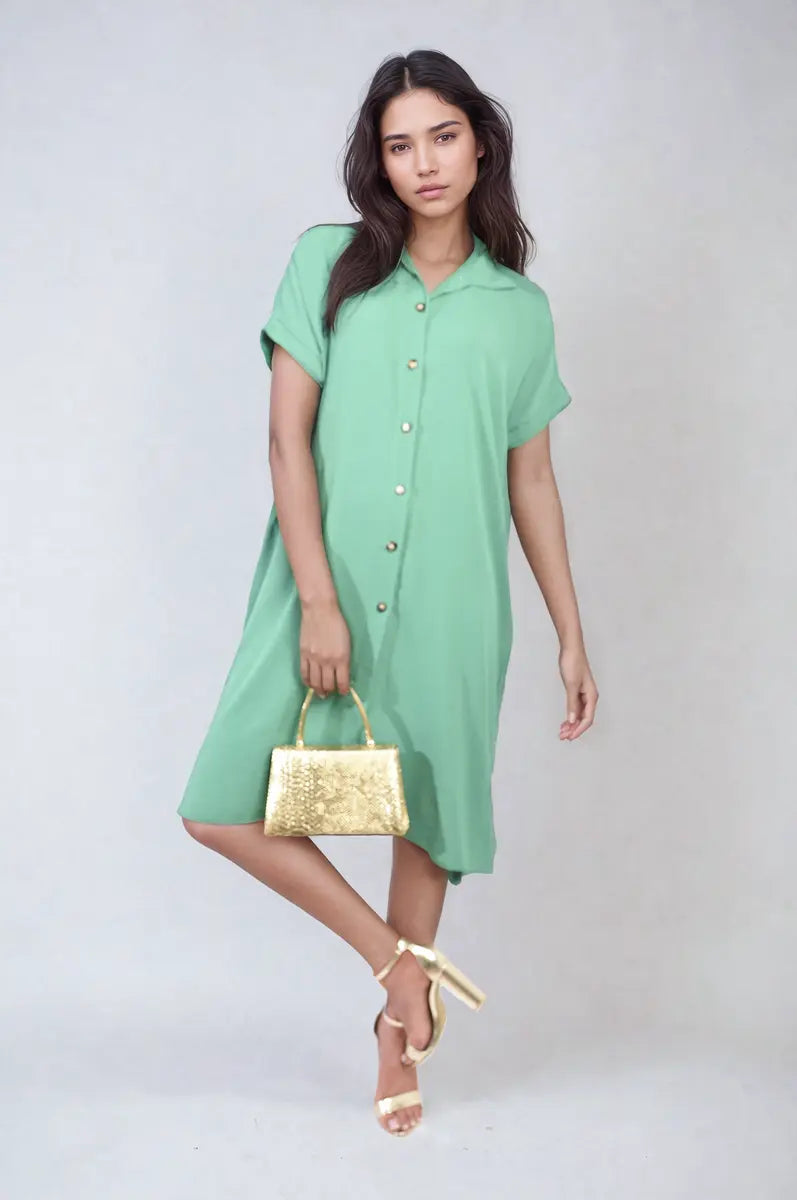 Button Front Shirt Dress - Memoriex 