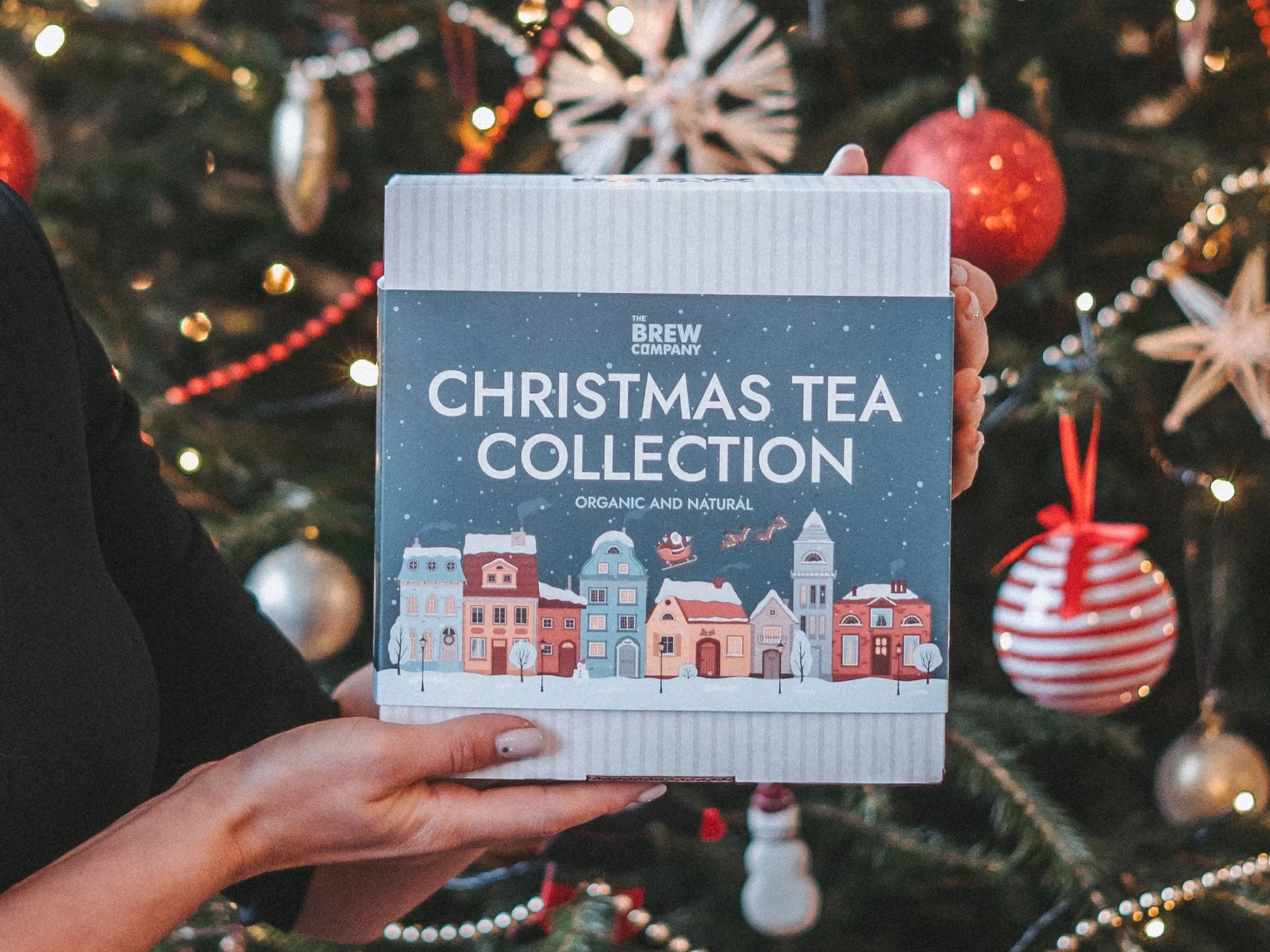 CHRISTMAS TEA COLLECTION-0