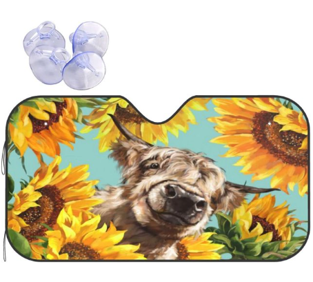 Car Sun Shield Front Stop Sunscreen Heat Insulation Non-punching Telescopic Curtain - Memoriex 