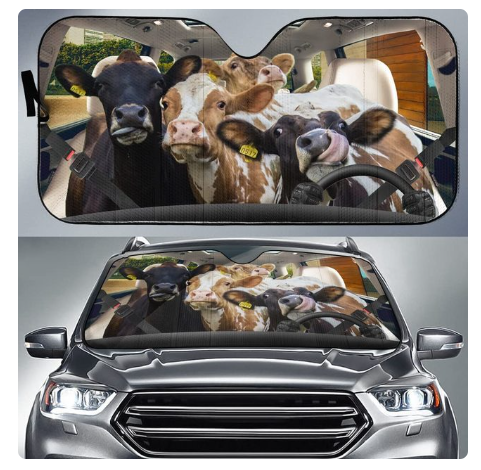 Car Sun Shield Front Stop Sunscreen Heat Insulation Non-punching Telescopic Curtain - Memoriex 