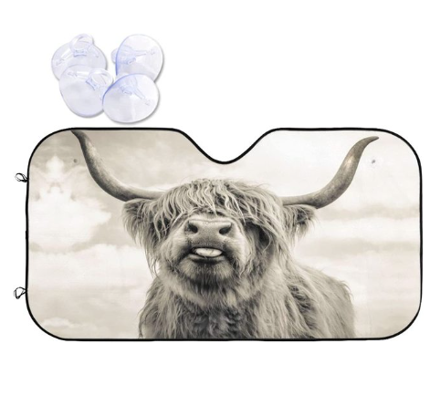 Car Sun Shield Front Stop Sunscreen Heat Insulation Non-punching Telescopic Curtain - Memoriex 