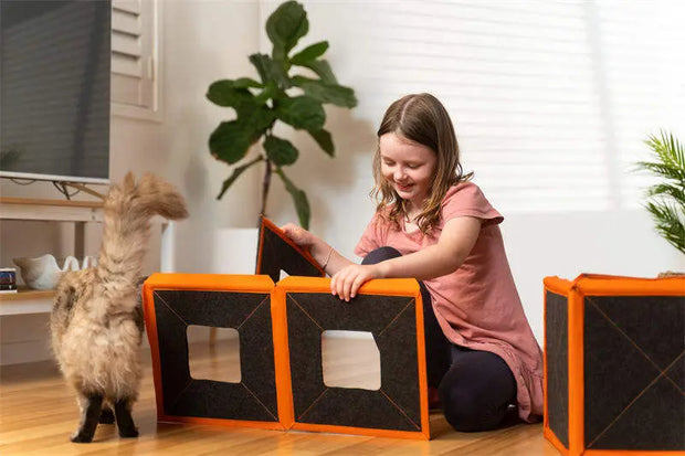 Cardboard Cat House Scratcher Breathable Pet Foldable Cat Toys And House For Cats - Memoriex 