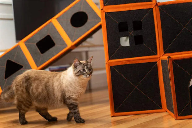 Cardboard Cat House Scratcher Breathable Pet Foldable Cat Toys And House For Cats - Memoriex 